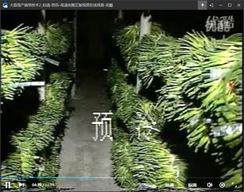 @}ʹ߮a(chn)---a(b)}(chung)߮a(chn)